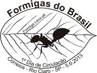 carimboformigas