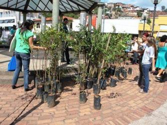 monumentosnovalima03