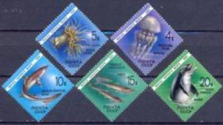 PEIXES E FAUNA MARINHA