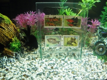 ???????????????????????????????