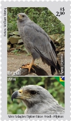 selobrasilfilipinas1