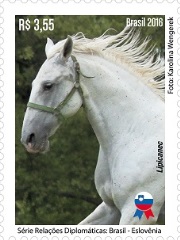 brasil_eslovenia_curvas