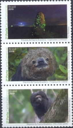 selosriquezadafaunabrasileira